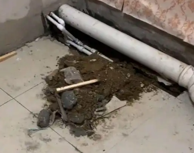 晋源卫生间漏水检测哪家好